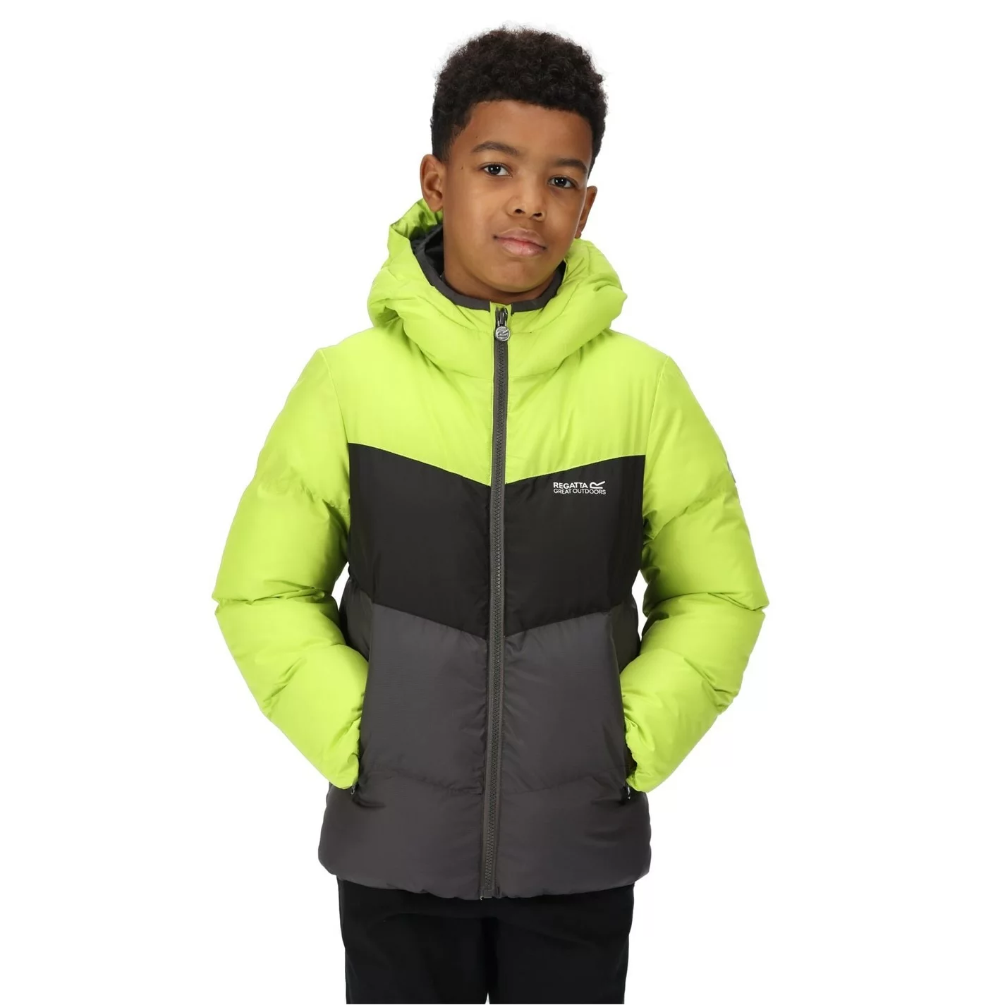 Regatta Lofthouse VI Quilted Jacket - Image 3