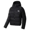 The North Face Women’s Hyalite Down Hooded Jacket